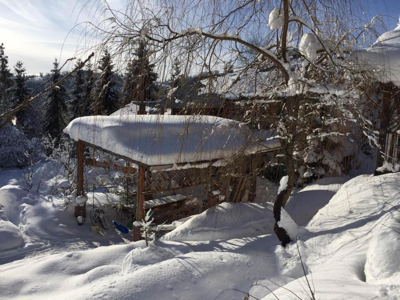 Біла Хижа Verkhne-Studenyy Extérieur photo
